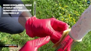 ЛОВЧИЙ ПОЯС от муравьев и тли КЛЕЙ