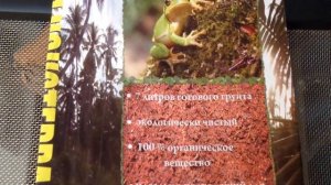 Содержание Фельзумы | Дневной мадагаскарский геккон | Phelsuma grandis