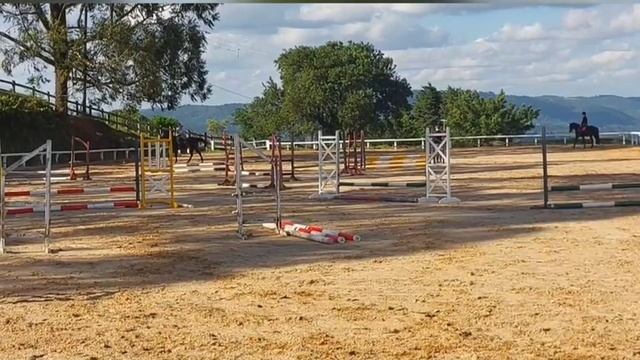 treino 04/11/22 ||treino de hipismo|| com a Lady Mary смотреть онлайн