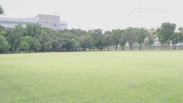 SONY FX9 Test Footage (s-log3, REC 709 ,Lut) смотреть онлайн