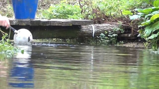 ЗА СКОЛЬКО МИНУТ РЕШЕТОМ НАБЕРУ ВЕДРО ВОДЫ ??? смотреть онлайн