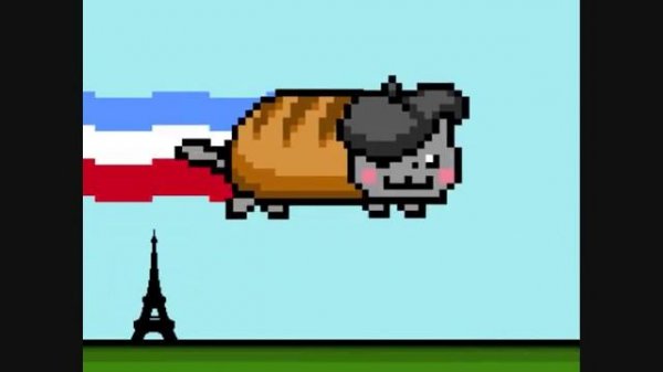 French Nyan Cat