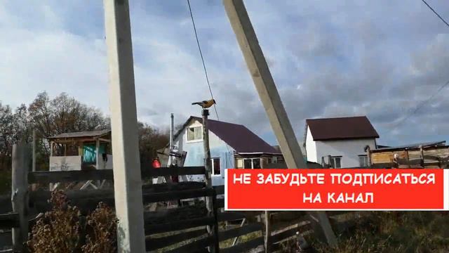 ХАДЫЖЕНСК 2020. Купить дом на Кавказе смотреть онлайн