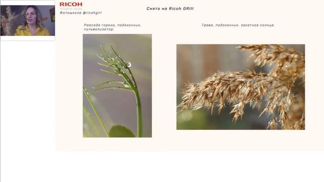 Макрофотография смотреть онлайн