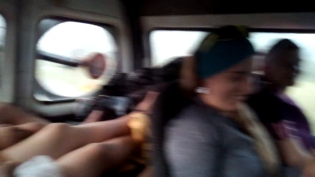 Газель течет во время дождя