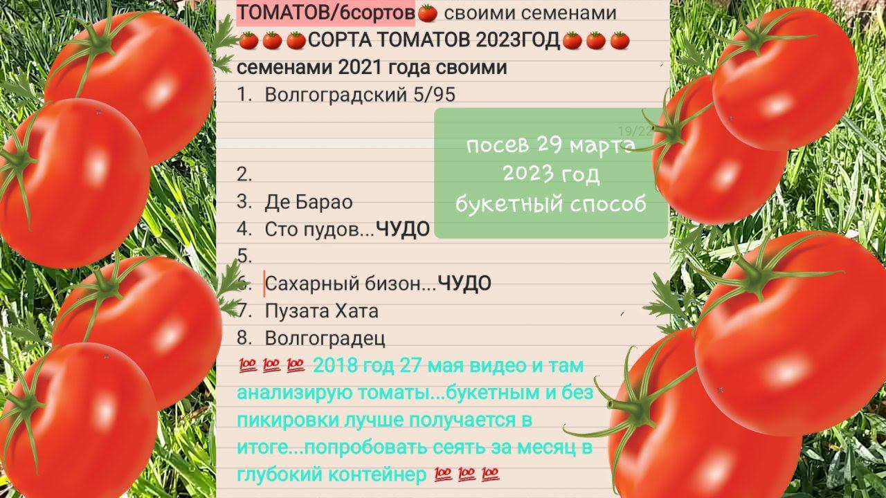 Как посеять семяна томатов БЕЗ ПИКИРОВКИ без заморочек 29 марта смотреть онлайн