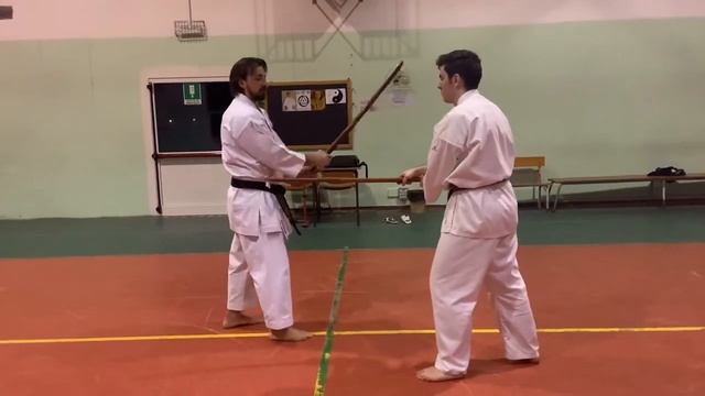 Bokken Keiko by Sensei Tosi Denis смотреть онлайн
