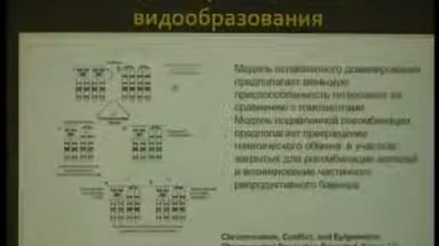 Эволюция кариотипов смотреть онлайн