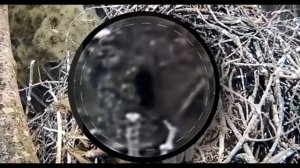 ТОП 15 БИГФУТОВ СНЯТЫХ НА ВИДЕО. РЕАЛЬНЫЙ СНЕЖНЫЙ ЧЕЛОВЕК