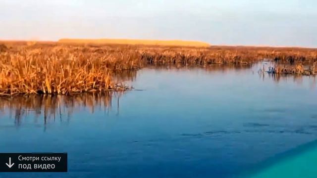 рыбалка в астрахани в июле смотреть онлайн