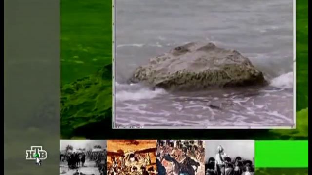 Победа над турками в 1791г  9 января 29 декабря 1791г   Ясский мир