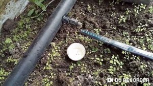 Как натянуть капельную ленту на фитинг.