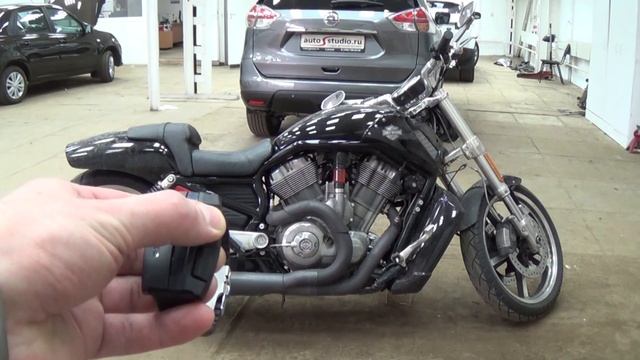 Pandora 4400 MOTO обзор от Autostudio смотреть онлайн