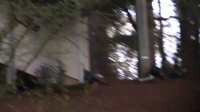 Can Turkeys Fly? смотреть онлайн