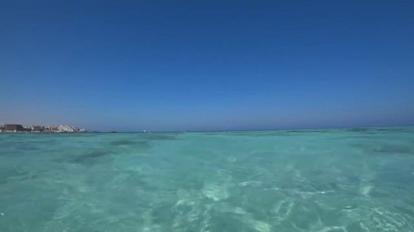 Sunny Days El Palacio Хургада Египет Октябрь