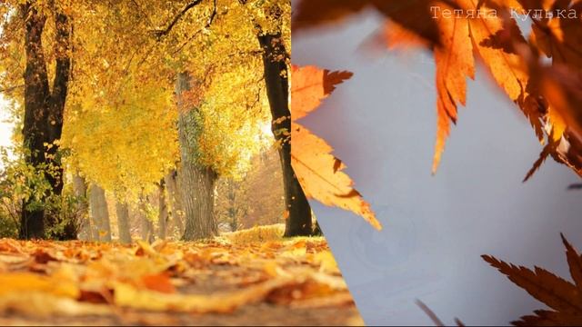 Привітання З ДНЕМ ВЧИТЕЛЯ 2023 | Красива українська відеолистівка | День вчителя 2023 смотреть онлайн