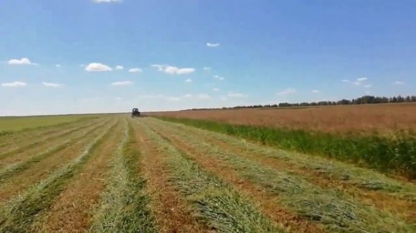 ПРОЦЕСС Заготовки сена.КАК МЫ ЗАГОТАВЛИВАЕМ СЕНО 2020ГОД HAY making process