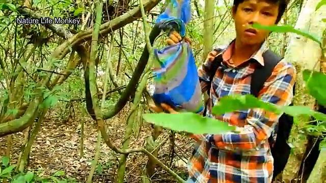 Breakheart! Very poor Janet got Trapped&put in bag by bad human|WE SAVE JANET BRING MEET MOM смотреть онлайн