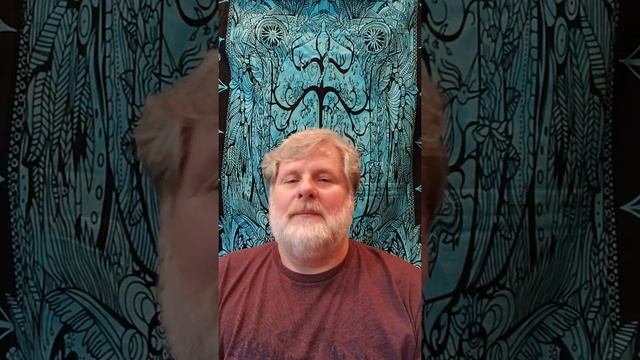 Daily Download Tarot Reading for August 9, 2021 by Sonoran Mystic Tarot смотреть онлайн