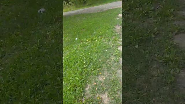 Катается на самокате/От первого лица/Катается в жару