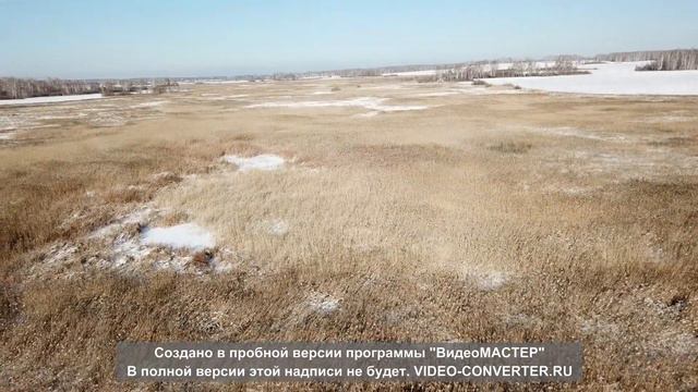 Косули 19 смотреть онлайн