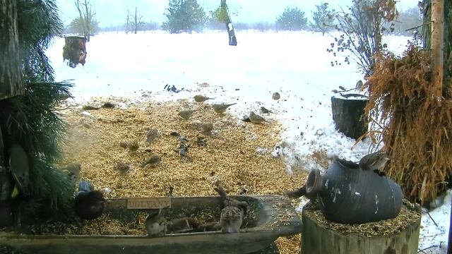 Стихотворение 3 02 2021 смотреть онлайн