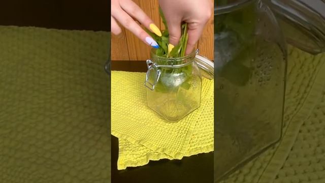 Семейные путешествия на кемпере