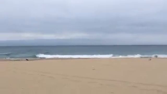 Videotagebuch: Marie gegen Krebs 28.09.2015 #10 смотреть онлайн