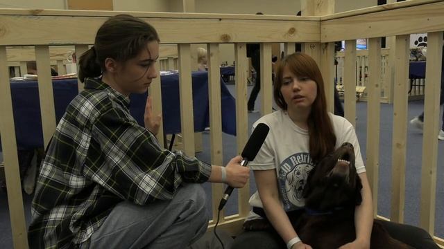 Город собак