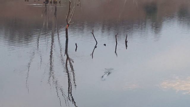 Рыбалка на красноперку смотреть онлайн