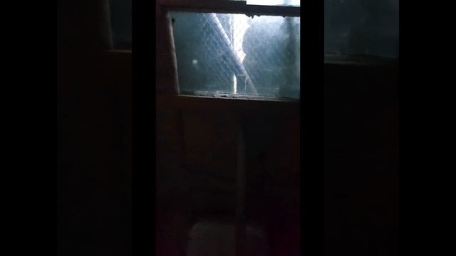 Беседка на даче.Все Этапы строительства смотреть онлайн