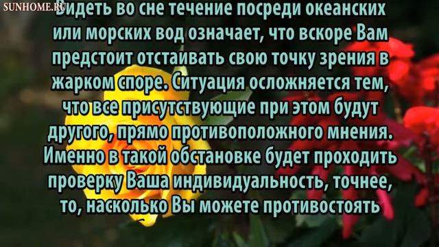 К чему снится Течения сонник, толкование сна смотреть онлайн