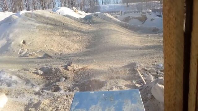 Рубительная машина ДРМ-4 "MOЛOM" смотреть онлайн