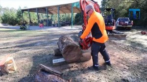 Невероятная Лесозаготовительная Техника и Инструменты по работе с деревом