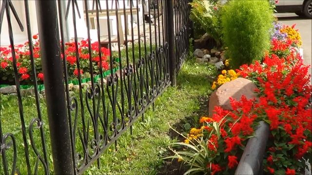 ??? Красивый цветник в центре Ярославля у церкви Спаса на городу смотреть онлайн
