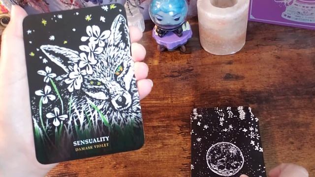 Flowers of the Night Oracle Unboxing and Flip Through смотреть онлайн