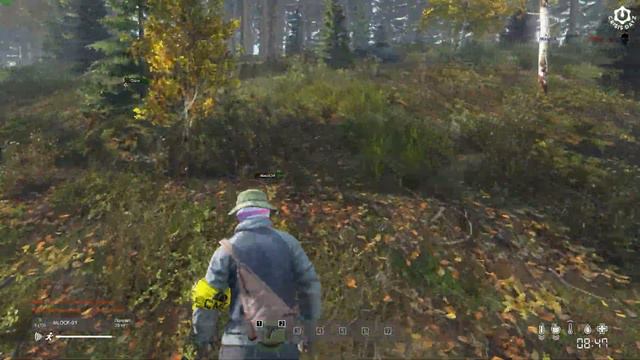 Lag Switch Лагсвич #dayz смотреть онлайн