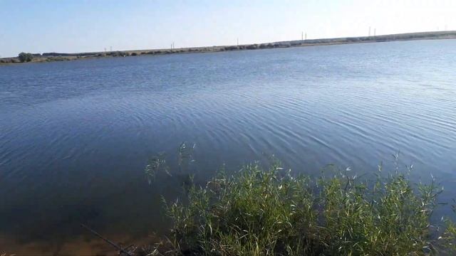 Рыбалка. Волгоградская обл., Камышинский район, с. Таловка, 04.09.2021 смотреть онлайн