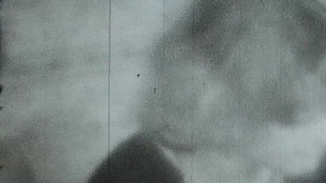 0023.MP4 смотреть онлайн