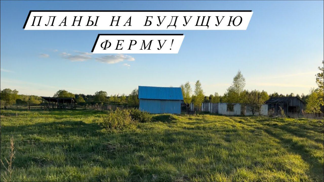 Гуляем всей семьей в полях!Дискуем 20 га!Написали заявление на беспризорных коров! смотреть онлайн