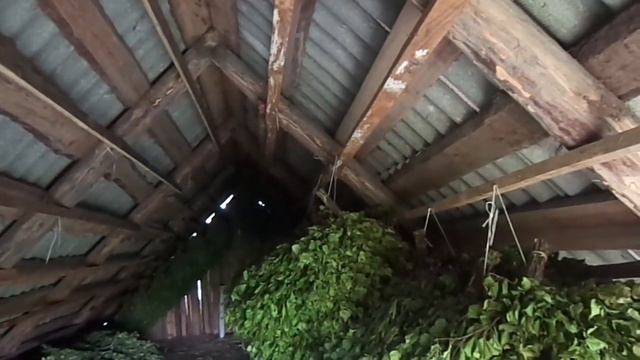 Бизнес на производстве банных веников смотреть онлайн