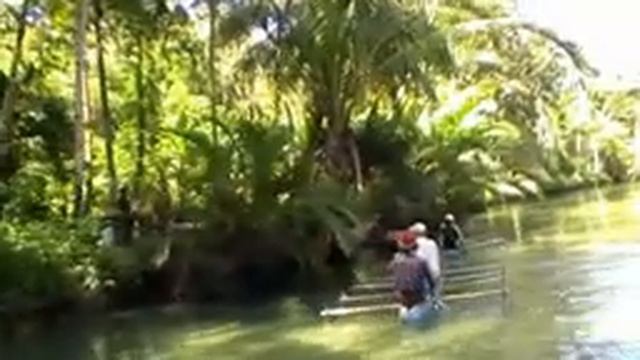 На лодках по джунглям Суматры в Индонезии. Jungle of Sumatra смотреть онлайн