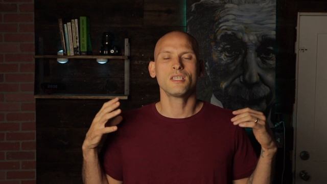 Don't Learn WordPress! Self Taught Web Developers and Self Taught Programmers смотреть онлайн