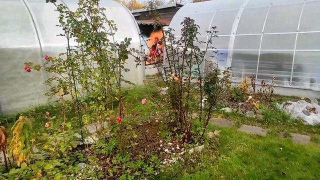 20.10.22.Дача.продолжаем укладывать плитку . смотреть онлайн