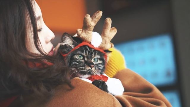 Dodo Pizza China - X-mas commercial смотреть онлайн