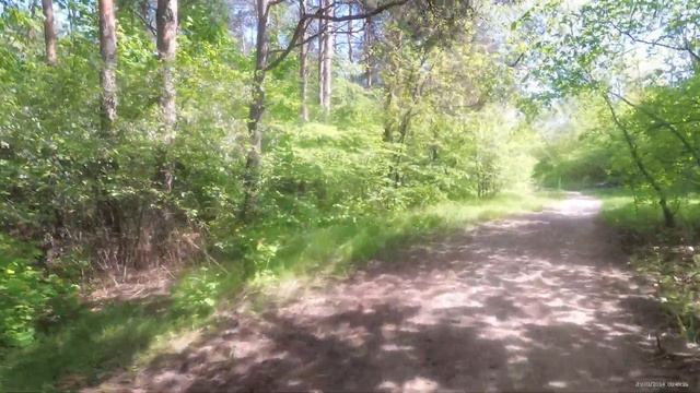 Экшен камера Xiaomi 4k+ 30 кадров (5 тест, солнечно) смотреть онлайн