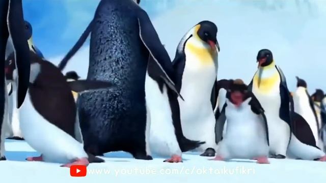 PENGUIN DANCE LUCU | GOYANG PENGUIN NEW