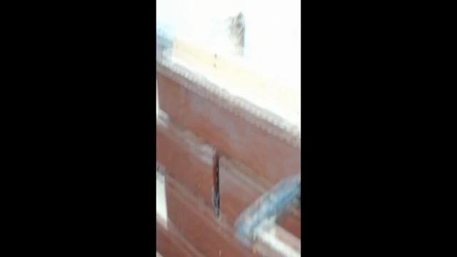 подробная инструкция по монтажу клинкерных термопанелей смотреть онлайн