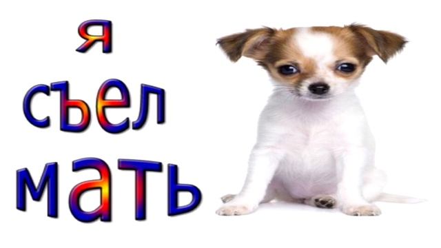 Тест на шизу - уровень понос смотреть онлайн
