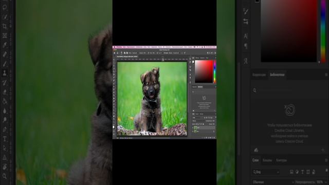 Как использовать ИСТОЧНИК КЛОНОВ В PHOTOSHOP #фотошопуроки #photoshop #photography #tutorial смотреть онлайн
